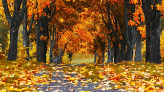 Wellness Habits We're 'Falling' For