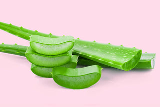 Aloe Sterols...Your Skin's New BFF