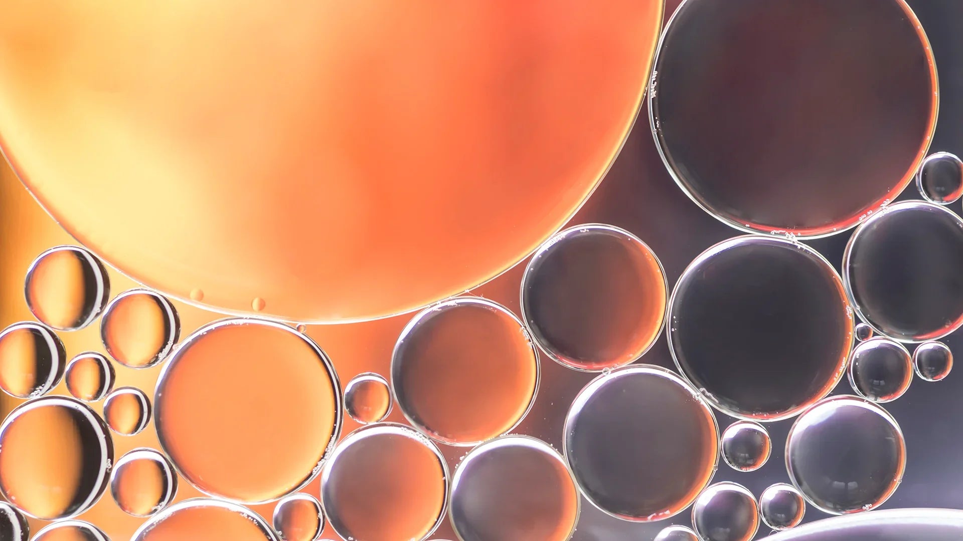 Your Skin’s Biggest Enemy Isn’t the Sun