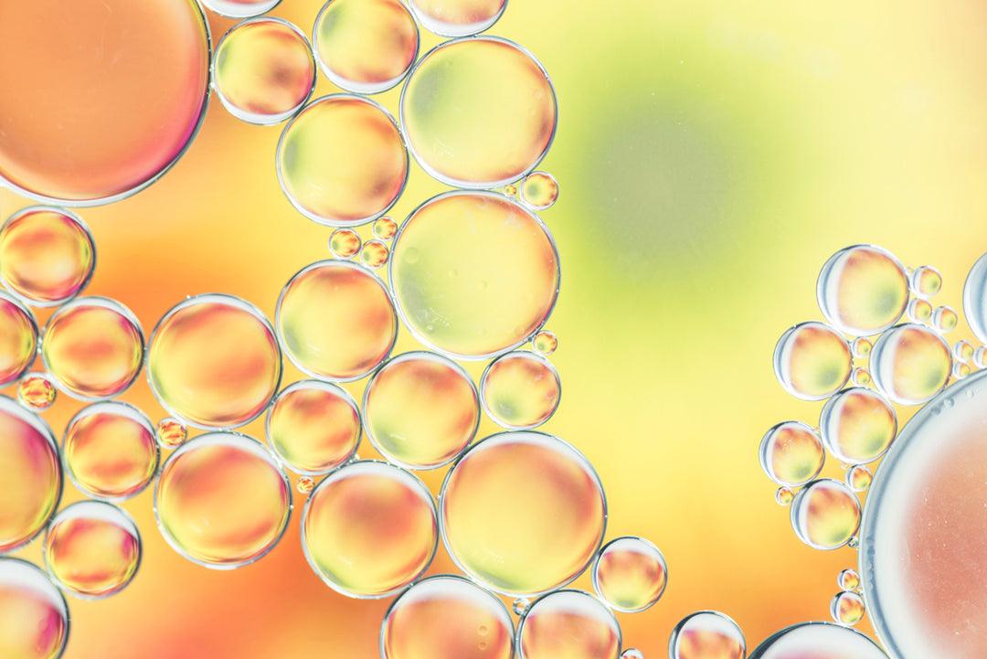 Phytoceramides...Your Skin's Anti-aging Shield