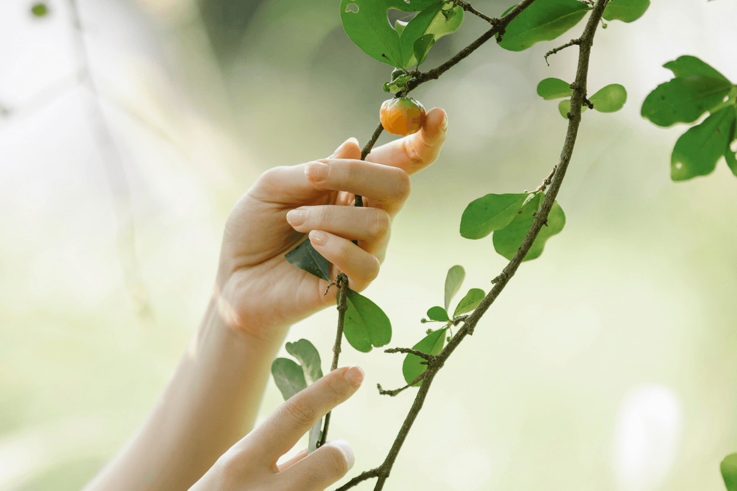 Environmental Stressors And Your Skin